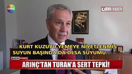 Arınç’tan AK Partili Turan’a: ''Sana yazık olur''