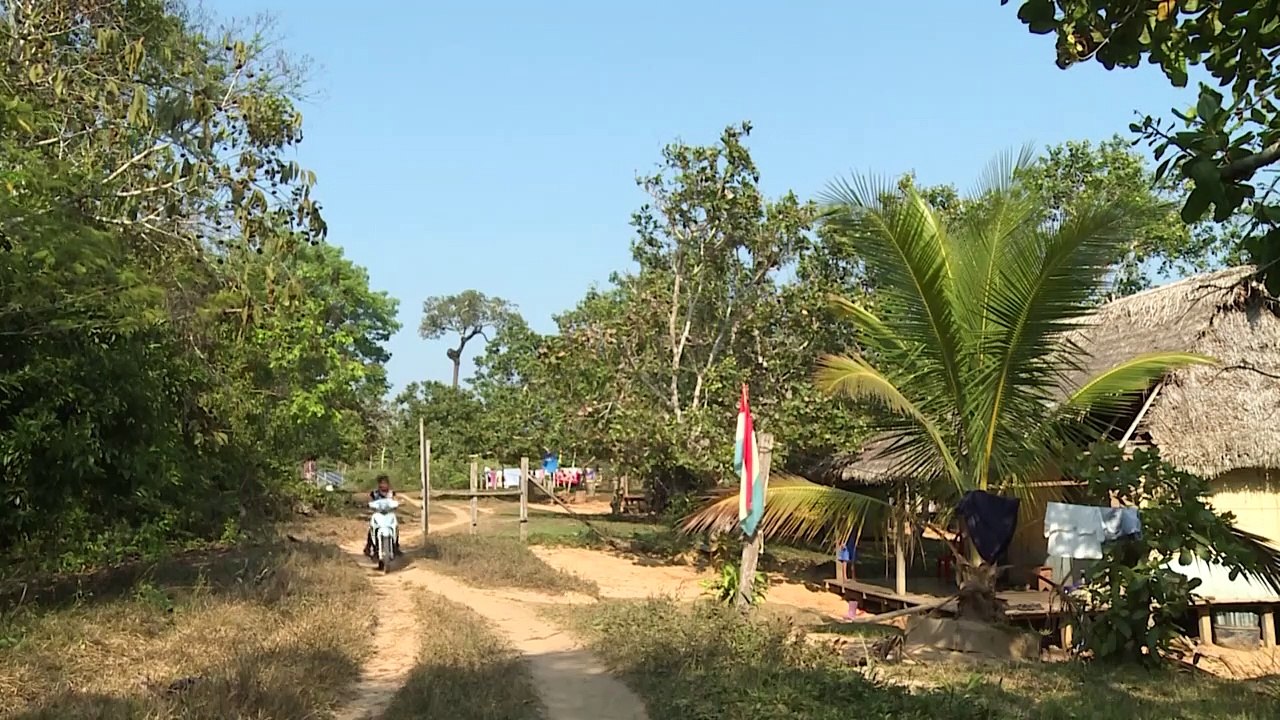 Indígenas tacana, acorralados por minería y explotación petrolera en Amazonía boliviana