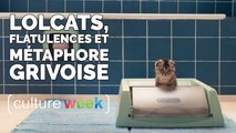 Culture Week by Culture Pub :  lolcats, flatulences et métaphore grivoise