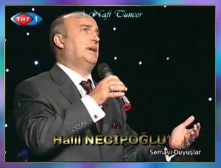 Halil NECİPOĞLU - Gül Yüzünü Rüyâmızda Görelim Yâ Resûlâllah