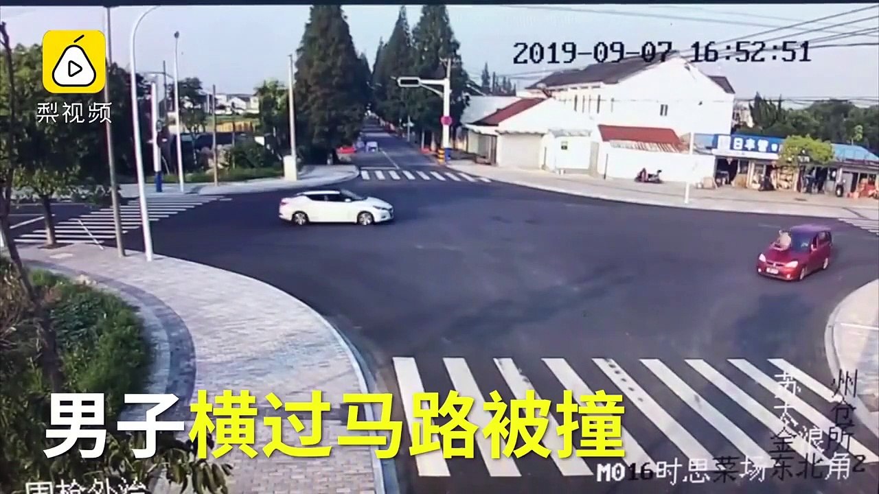 Un chiot est plus prudent qu’un piéton pour traverser une rue en Chine