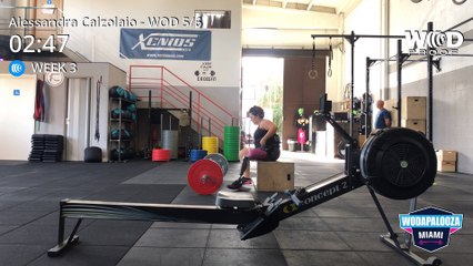 Wodapalooza wod 5 e 6