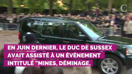 Le prince Harry : cette photo iconique de sa mère Lady Diana qu'il ne reproduira pas lors de son voyage en Afrique