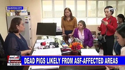 ASF possible cause of deaths of 4 pigs