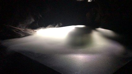 Les expos de Scopitone