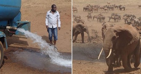 Un nouveau super-héros au Kenya livre de l'eau aux animaux pour contrer la sécheresse qui sévit