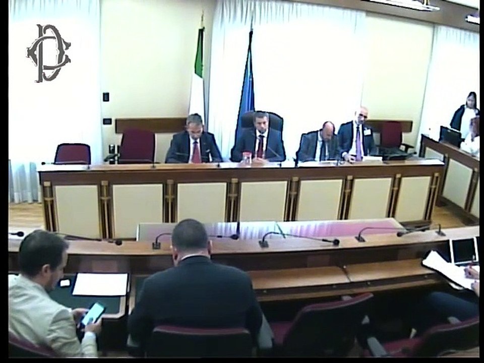 Roma - Audizione ministro Costa (12.09.19)