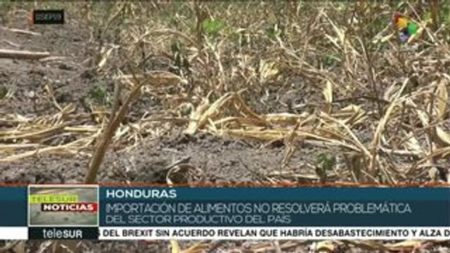 Honduras: campesinos prevén crisis alimentaria producto de la sequía