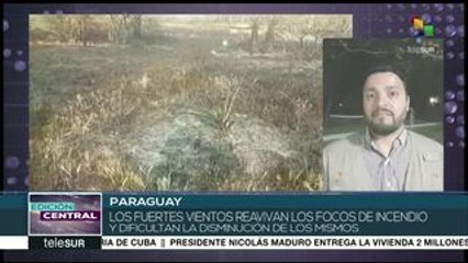 Paraguay: se reavivan los incendios en el Pantanal