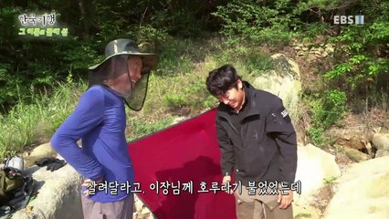 한국기행 - Korea travel_그 여름의 끝에 섬 5부- 나 혼자 간다, 문갑도_#002