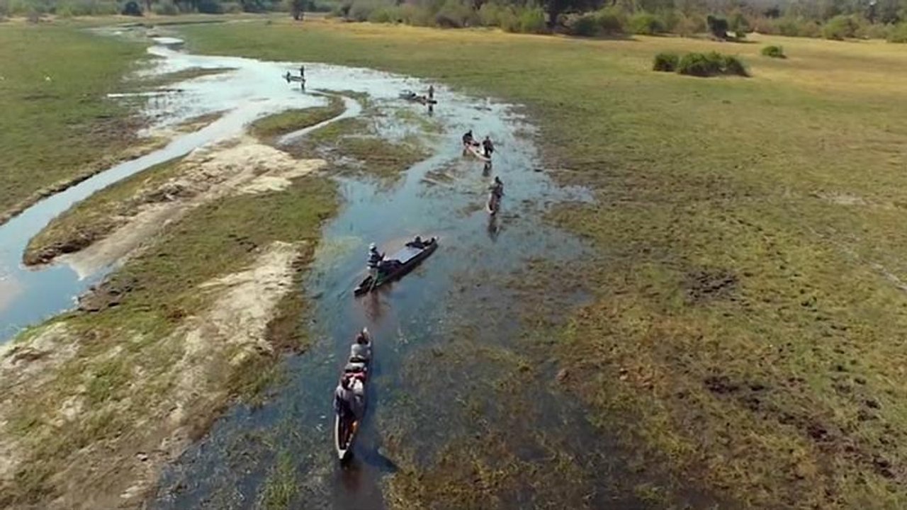 "into the okavango"