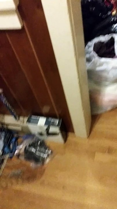 Chihuahua gets excited when owner comes home, then licks the dishwasher XD