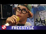 FREESTYLE - LYRICAL POETRY (FLOWIN IMMO) - FOLGE 33 - 90´S FLASHBACK (OFFICIAL VERSION AGGROTV)