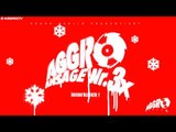 BUSHIDO, FLER - KUGELSICHER - AGGRO ANSAGE NR. 3X - ALBUM - TRACK 05