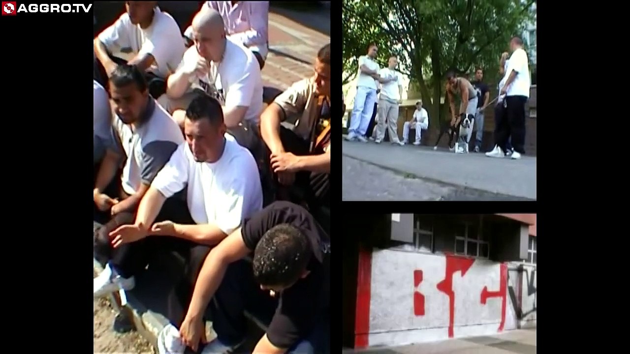 AMSTAFF MUZX 'RAP CITY BERLIN DVD1' (OFFICIAL HD VERSION AGGROTV)