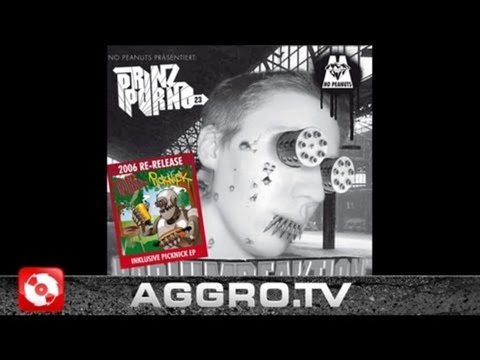 PRINZ PORNO - HIGH TECH RAPCLIK - RADIUM REAKTION - ALBUM - TRACK 10