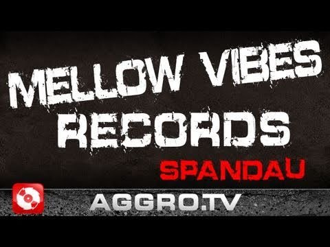 MELLOW VIBES RECORDS 'RAP CITY BERLIN DVD2' (OFFICIAL HD VERSION AGGROTV)
