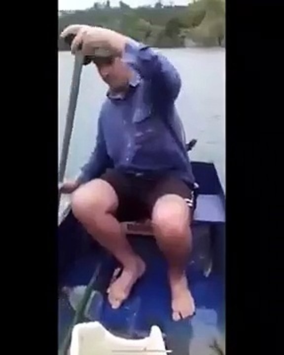 Un paresseux qui profite bien d'une balade sur un petit bateau !