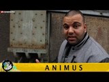 ANIMUS HALT DIE FRESSE 04 NR. 233 (OFFICIAL HD VERSION AGGRO TV)