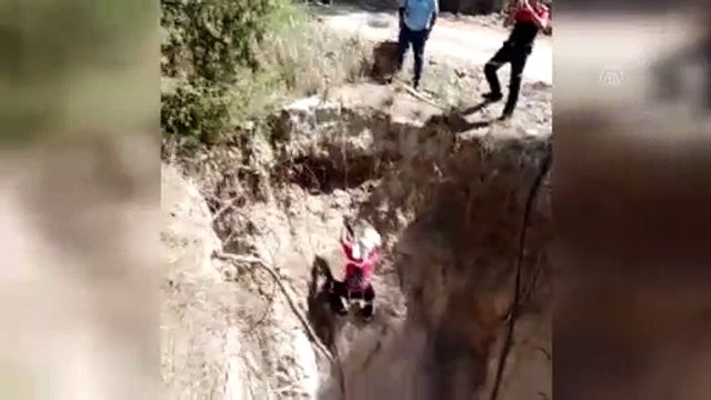 15 metrelik kuyuya düşen kediyi itfaiye kurtardı - DENİZLİ