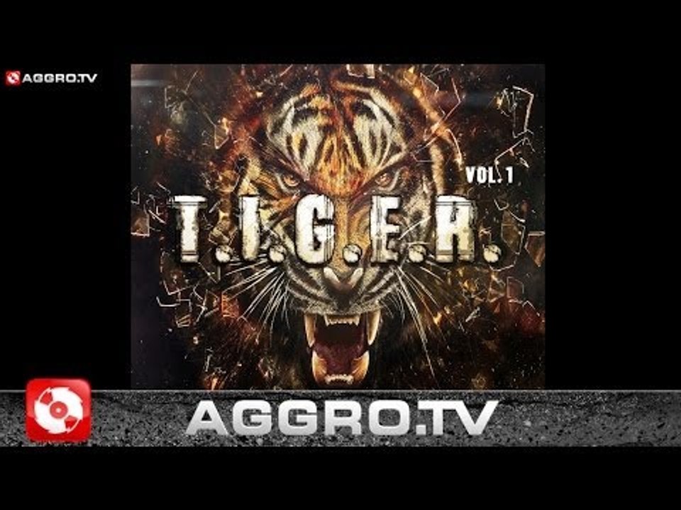 GEENIUZ GOLD - 110 - T.I.G.E.R. VOL.1 - ALBUM - TRACK 05