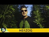 HERZOG - BLÄTTER, DIE DIE WELT BEDEUTEN - HALT DIE FRESSE NR. 368 (OFFICIAL HD VERSION AGGROTV)