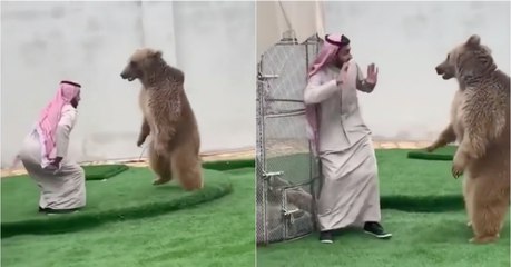 Jovem de 20 anos tem um urso em casa e brinca como se fosse um cão