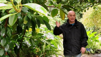 SIN CONSERVANTES - CRUCE POR LOS LAGOS ANDINOS