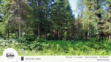 Terrain - à vendre - Saint-Claude - 27975457