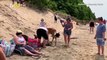 Buck Wild! Newly Released Video Shows Wild Deer Hanging Out With People At Michigan Beach!