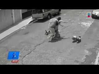 Mujer es herida por un hombre tras conflicto entre perros | De Pisa y Corre