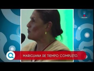 Se declara senadora mariguana de tiempo completo | Qué Importa