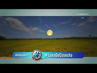 Trend por #ElHeraldoTV: Lo mejor de las redes sociales en pantalla