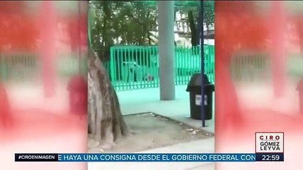 Guardia se pelea con dos mujeres en colegio de bachilleres