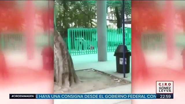 Guardia se pelea con dos mujeres en colegio de bachilleres