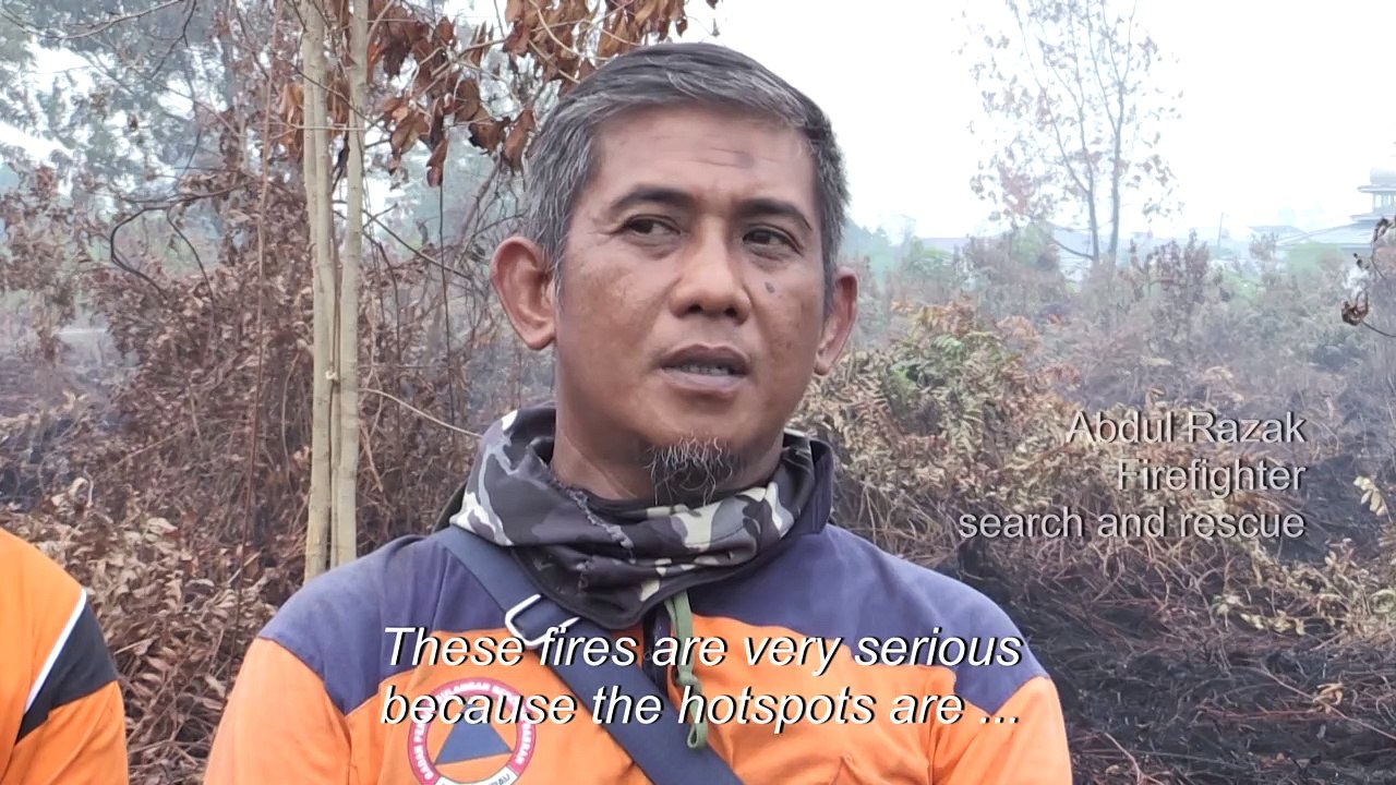 Indonesian authorities battle forest fires amid national smog crisis