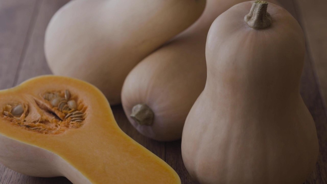 Fall Harvest Butternut Squash Recipes