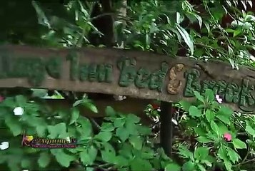 Week 8 Tuesday Kris Sweet Escape