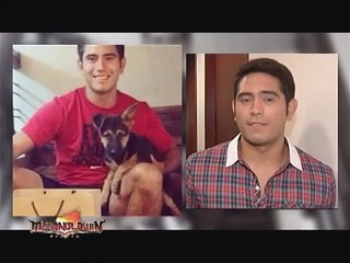 Celebrity Pet Mommies