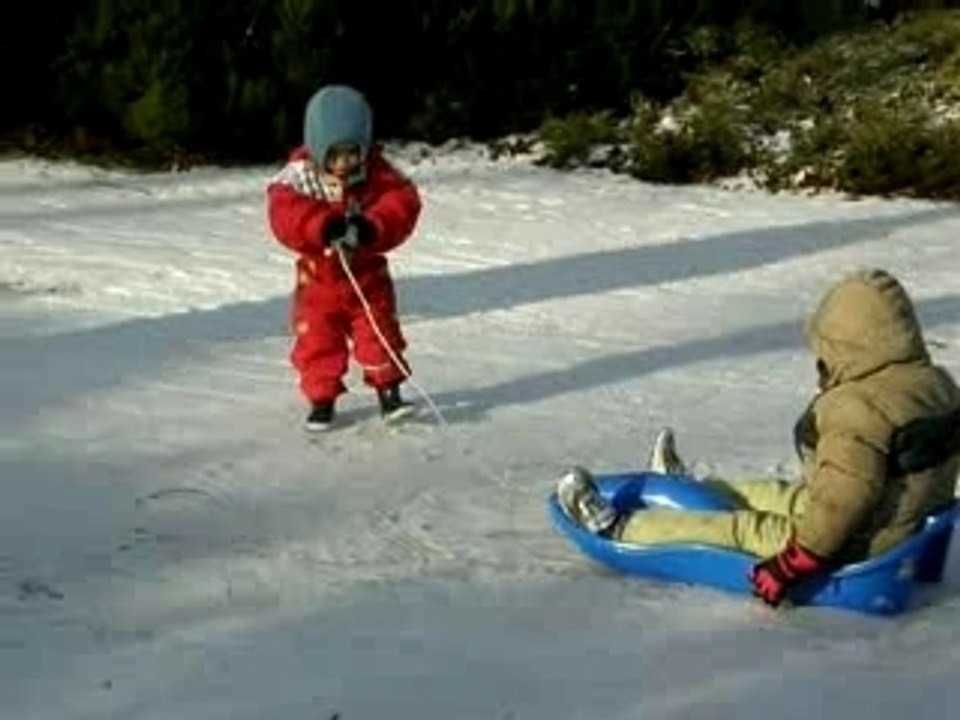 2008 - Luge 2 - Hazelhead
