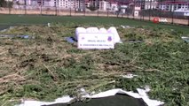 Bingöl'de 270 bin kök kenevir ve 89 kilo esrar ele geçirildi: 11 gözaltı