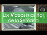 Pokémon en YouTube, Drones para surfear, águilas anti-drones, coches explosivos y más - VHS #025