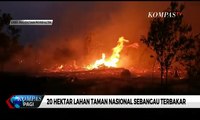 20 Hektar Lahan Taman Nasional Sebangau Terbakar