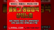 쇼핑몰홍보〖LJVIRAL.CoM〗블로그업체