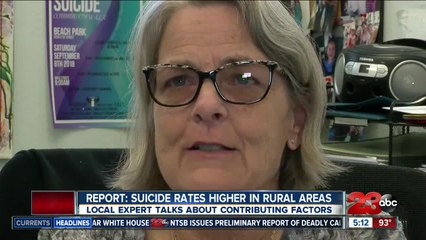 Report: people at higher risk of suicide in rural areas, near gun shops