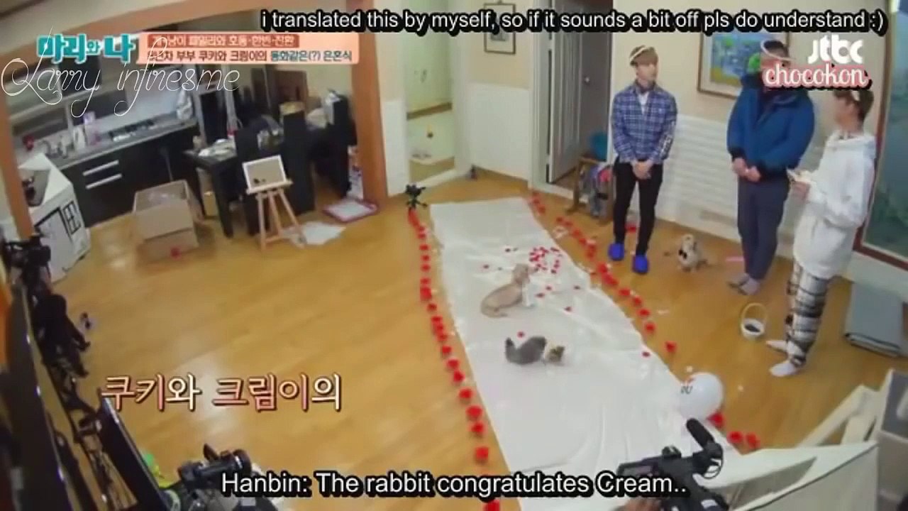 Things iKON say that seem like fake subs but aren't