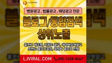 블로그포스팅〖LJVIRAL.com〗유튜브홍보