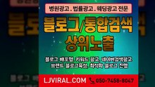 인터넷광고업체〖LJVIRAL.CoM〗온라인대행