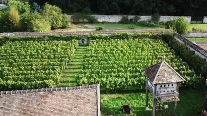 Jardin - Un village zéro phyto
