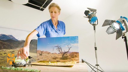 Sophie Darlington's Tips: Lighting & Position